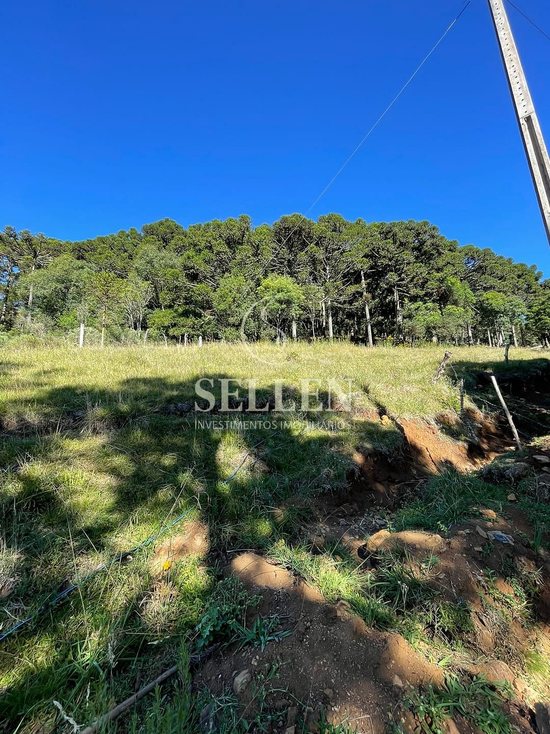 Terreno, 2 hectares - Foto 38