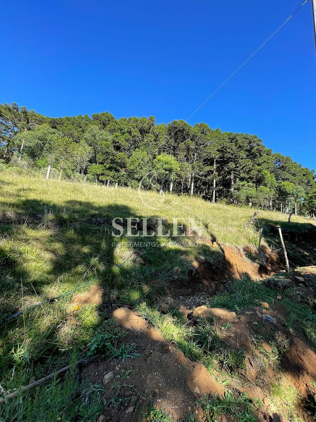 Terreno, 2 hectares - Foto 39