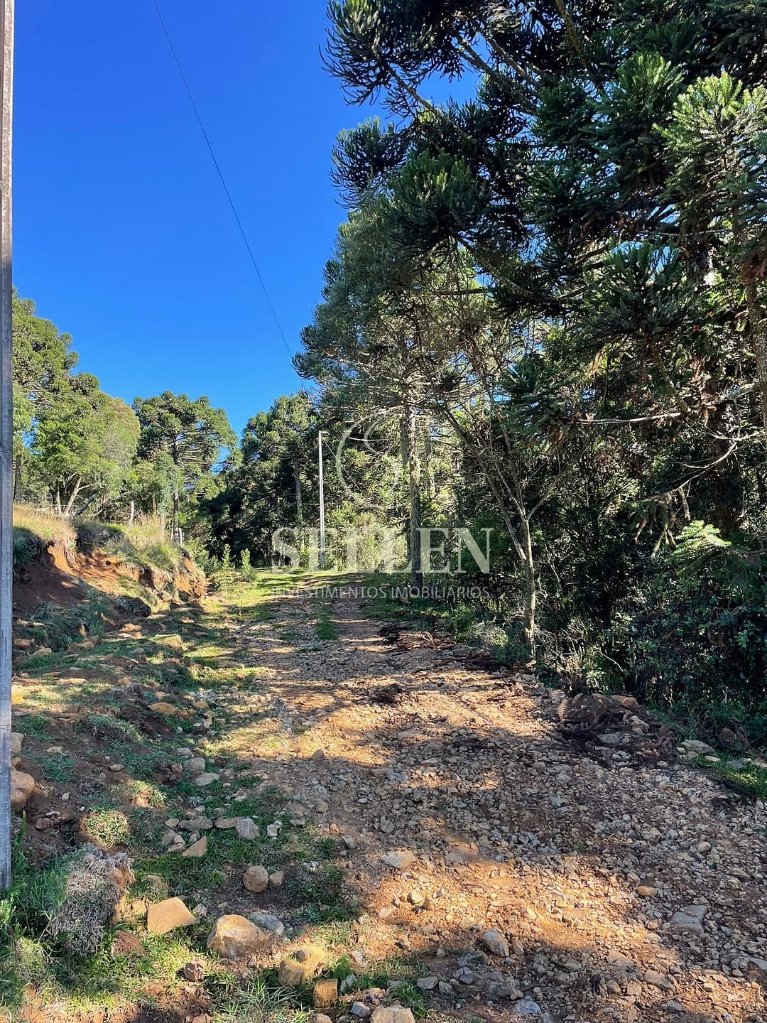 Terreno, 2 hectares - Foto 40