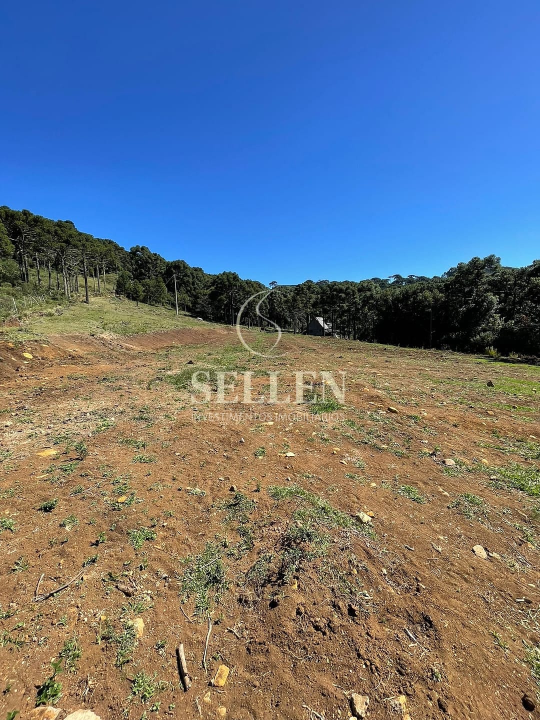 Terreno, 2 hectares - Foto 29