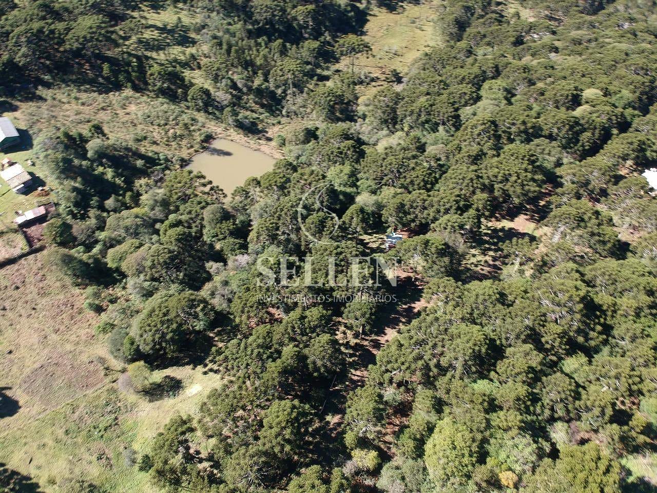 Terreno, 2 hectares - Foto 20