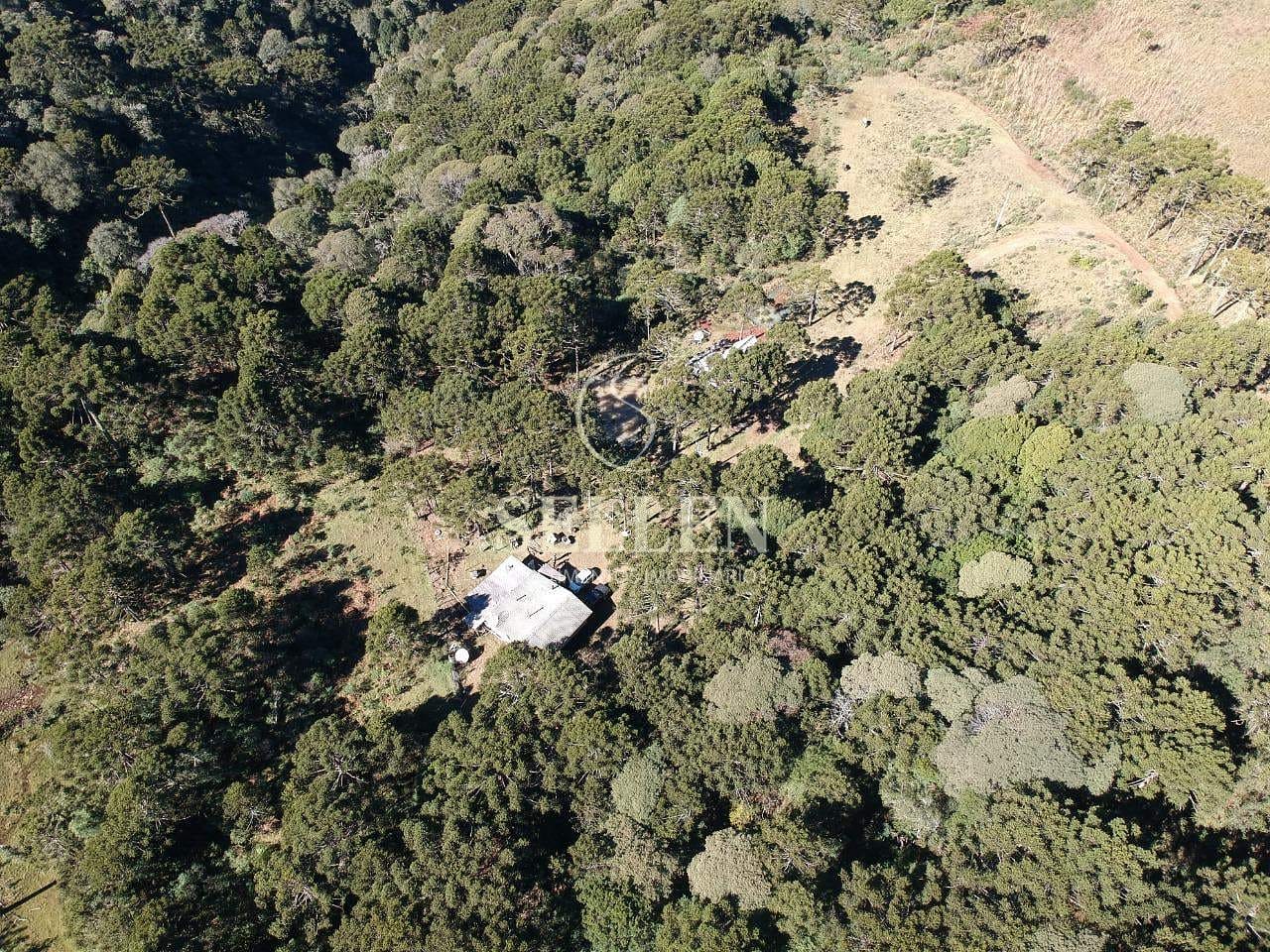 Terreno, 2 hectares - Foto 15