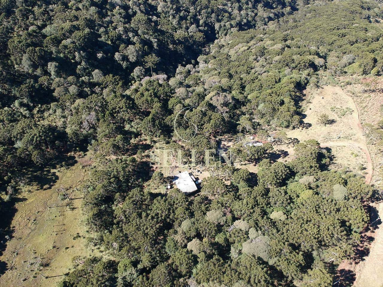 Terreno, 2 hectares - Foto 16