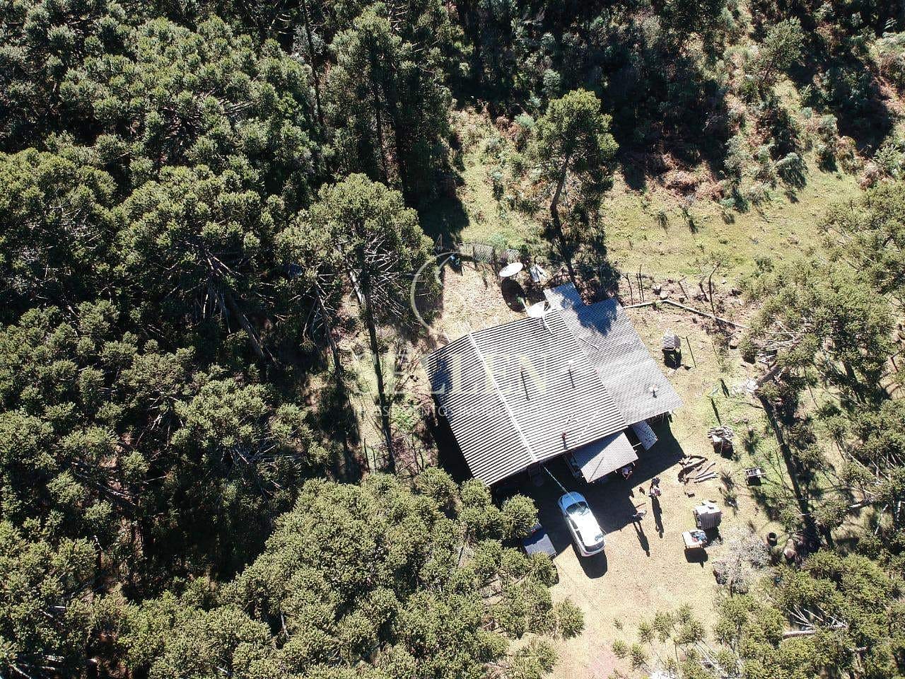 Terreno, 2 hectares - Foto 17