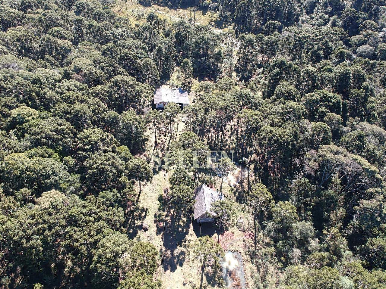 Terreno, 2 hectares - Foto 13