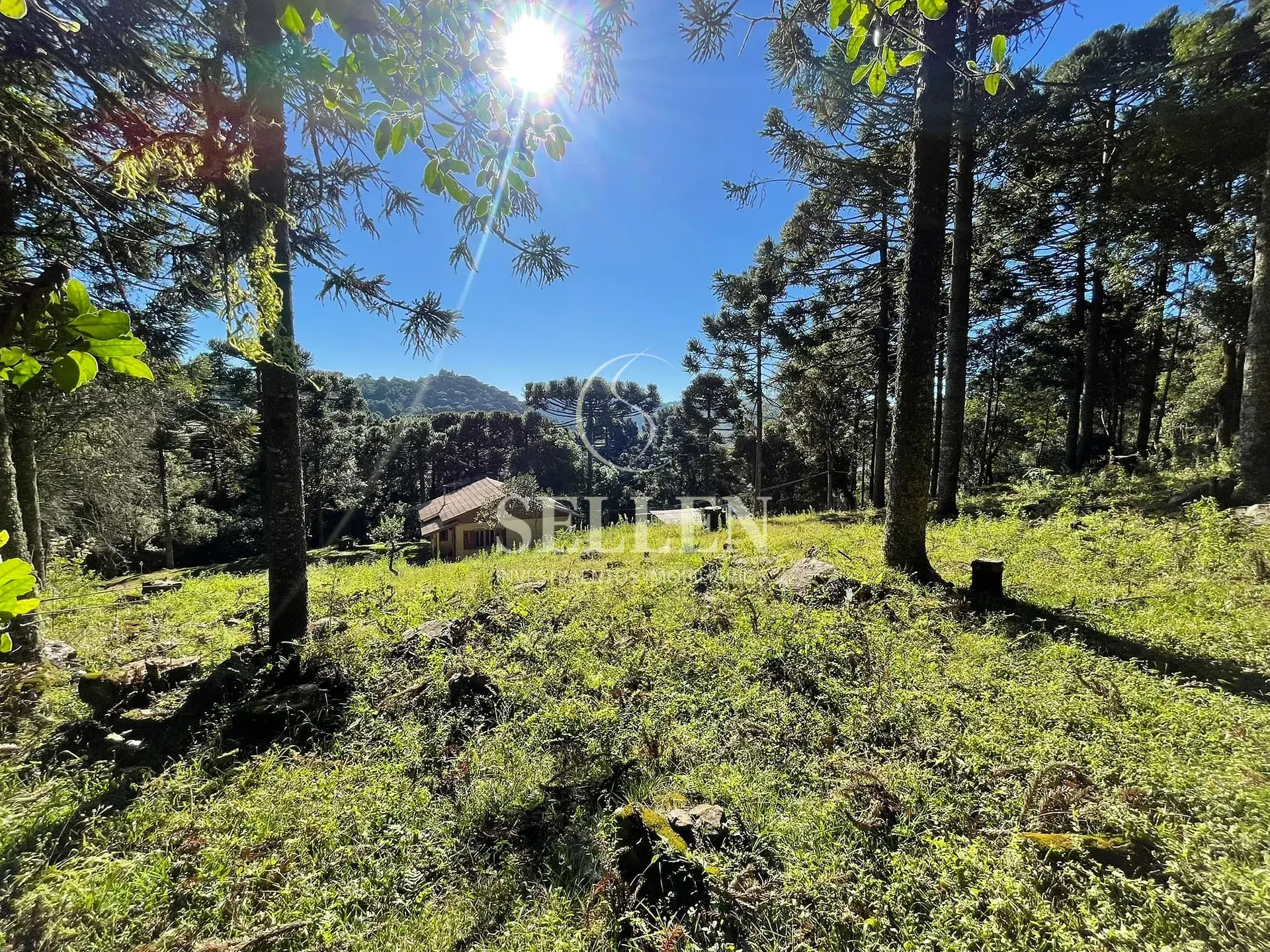 Terreno, 2 hectares - Foto 31