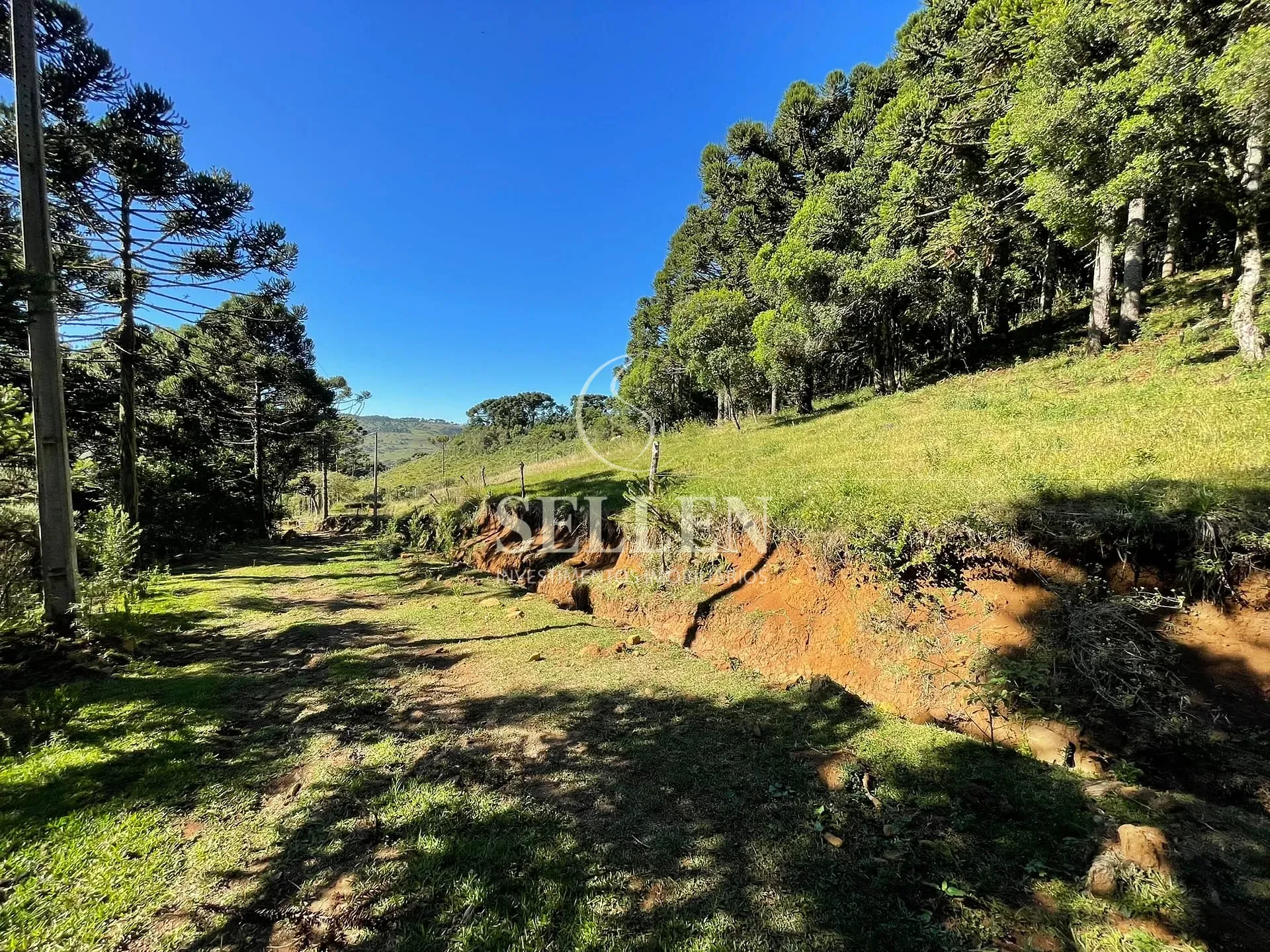 Terreno, 2 hectares - Foto 36