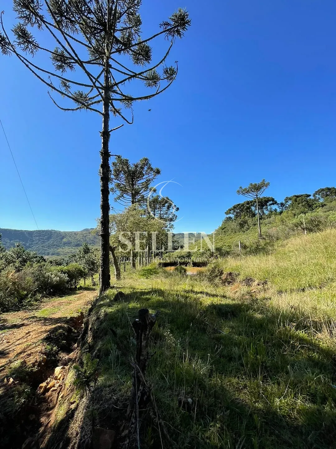 Terreno, 2 hectares - Foto 37