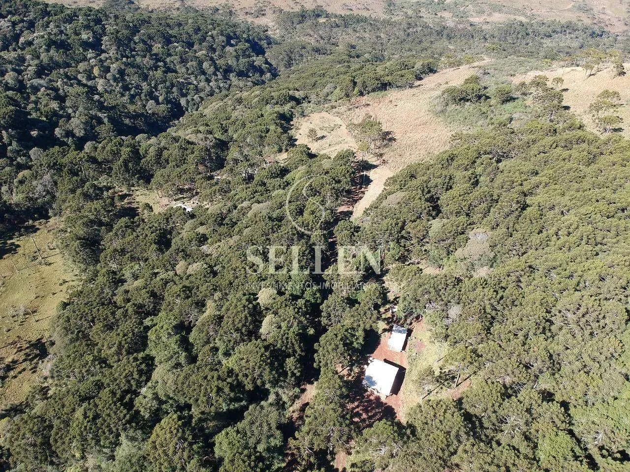 Terreno, 2 hectares - Foto 14