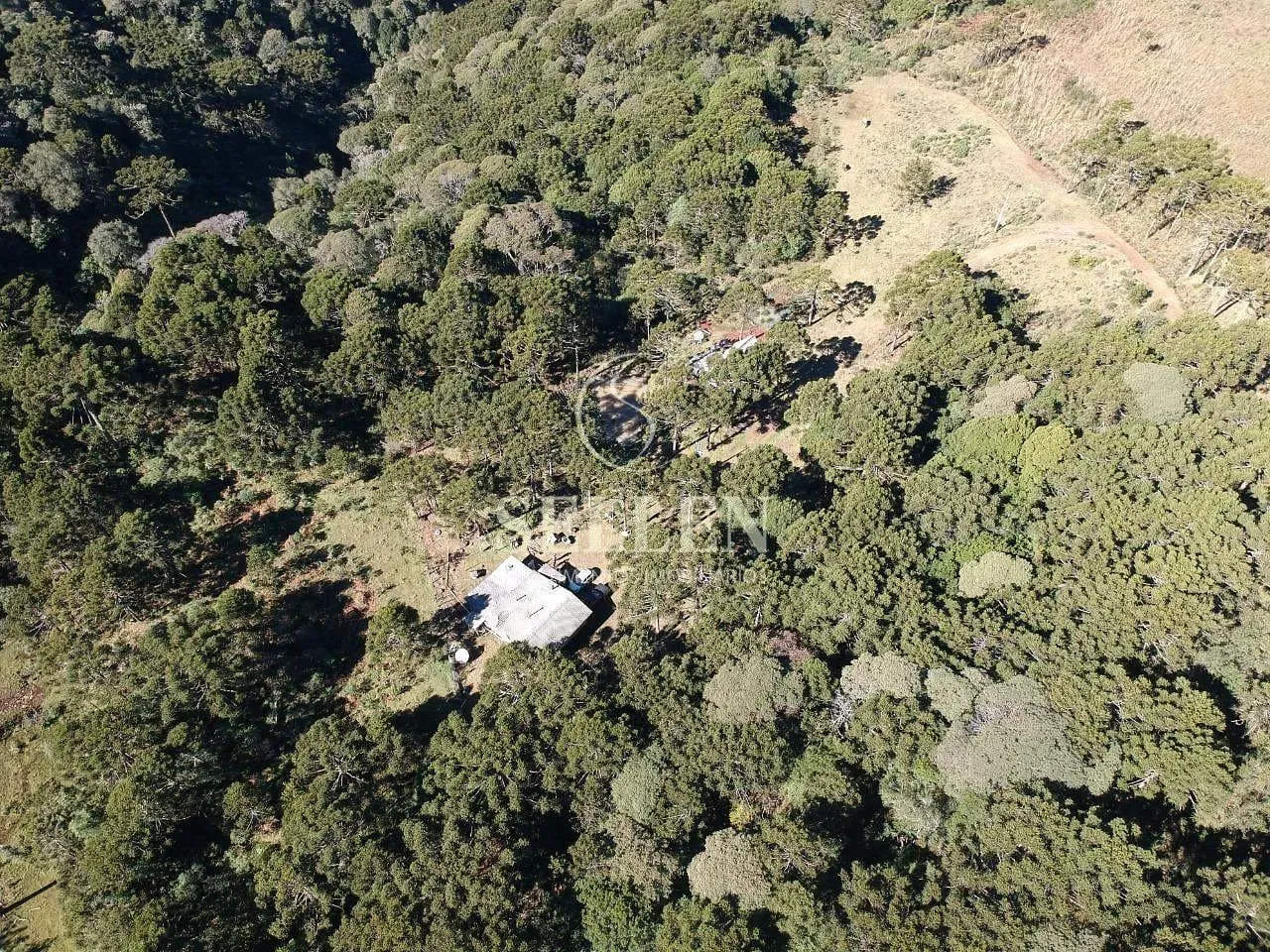 Terreno, 2 hectares - Foto 15