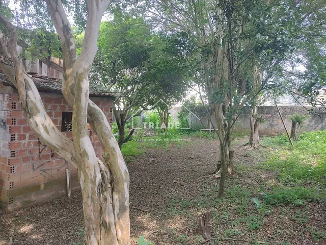 Terreno com 600m², à venda, no bairro Centro em Araucária
