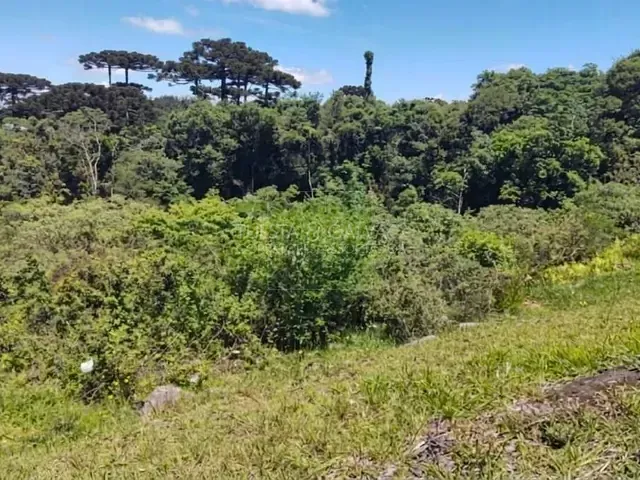 Terreno com 4m², à venda, no bairro Barro Preto em São José Dos Pinhais