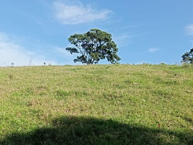 Terreno com 42910m², à venda, no bairro Jaguari de Baixo em Caçapava