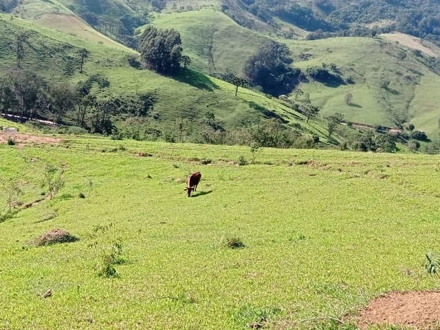 Terreno com 42910m², à venda, no bairro Jaguari de Baixo em Caçapava