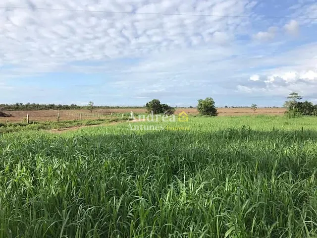 Fazenda com 24000000m² 5 quartos e 6 banheiros, à venda, no bairro Ribeirão de Cascalheira em Porto Alegre do Norte