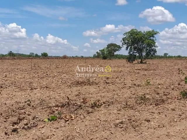 Fazenda com 24000000m² 5 quartos e 6 banheiros, à venda, no bairro Ribeirão de Cascalheira em Porto Alegre do Norte