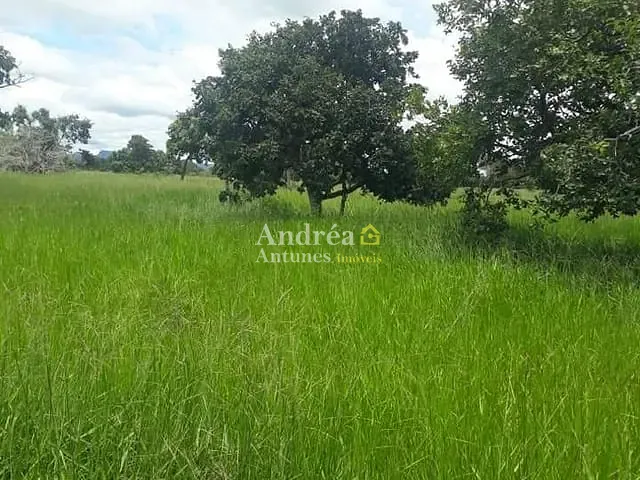 Fazenda com 24000000m² 5 quartos e 6 banheiros, à venda, no bairro Ribeirão de Cascalheira em Porto Alegre do Norte