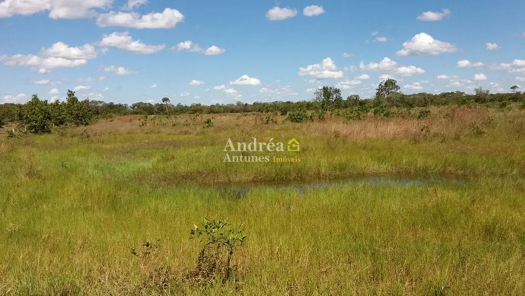 Fazenda, 2400 hectares - Foto 14