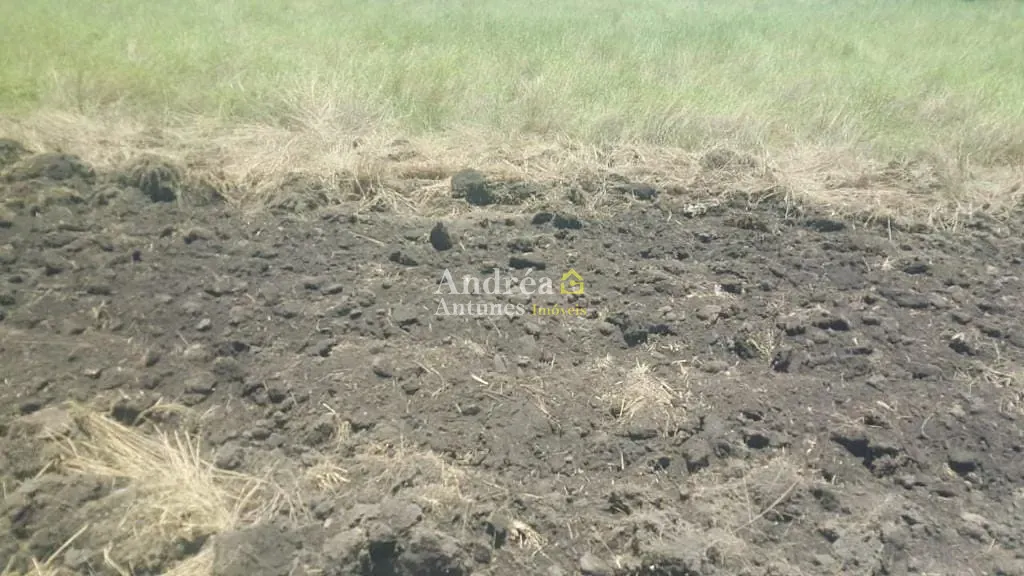 Fazenda, 2400 hectares - Foto 11
