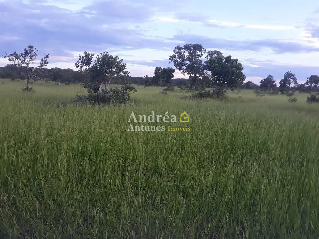 Fazenda, 2400 hectares - Foto 10