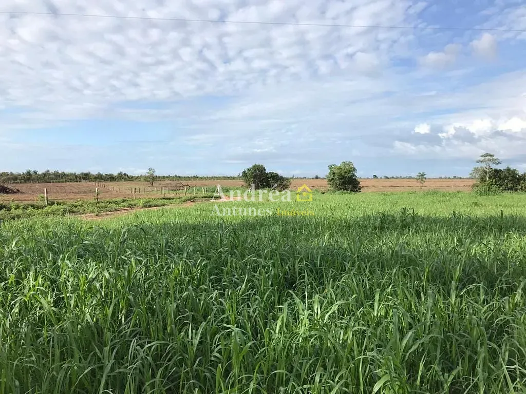 Fazenda, 2400 hectares - Foto 2