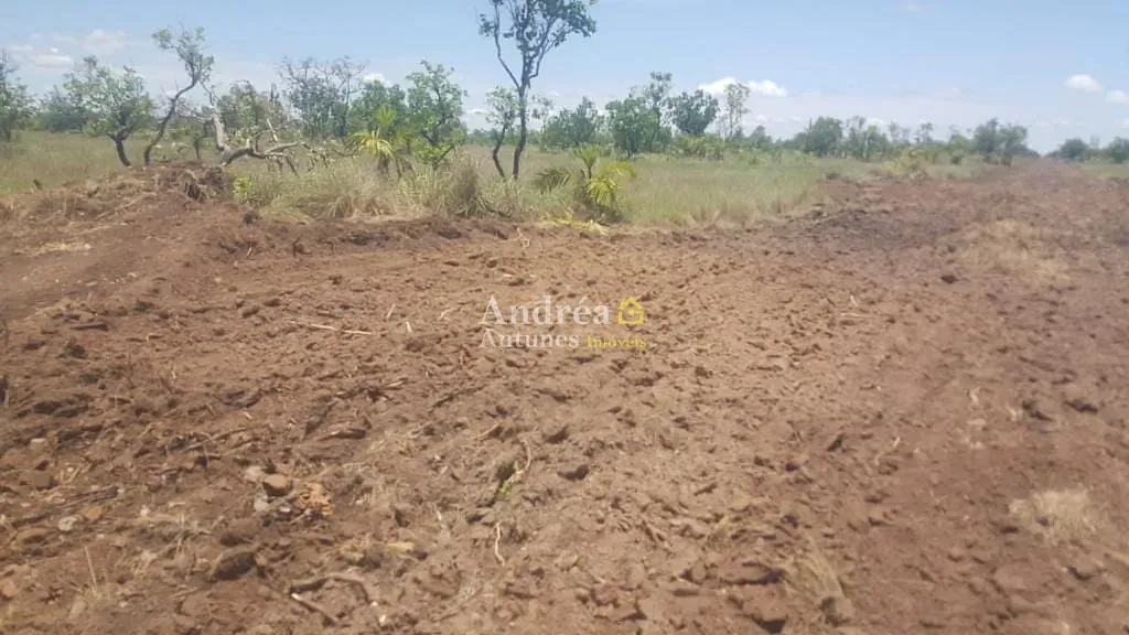Fazenda, 2400 hectares - Foto 7