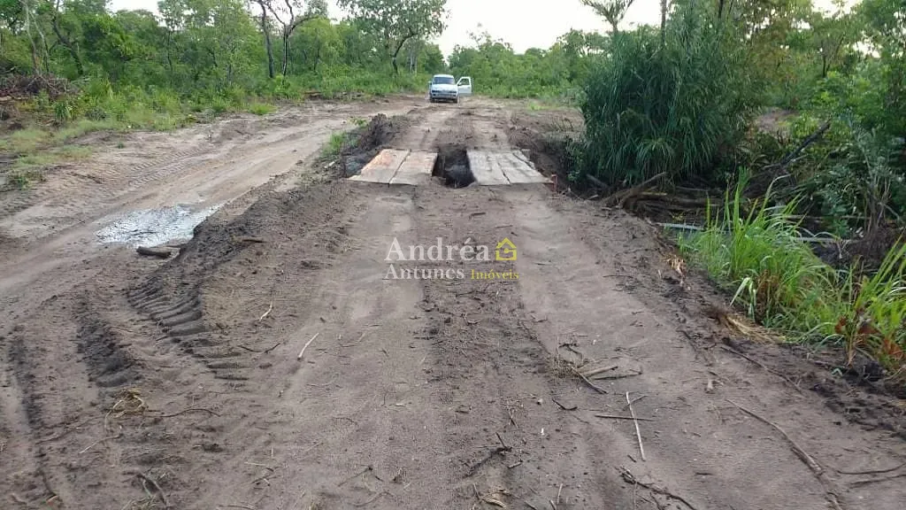 Fazenda, 2400 hectares - Foto 3