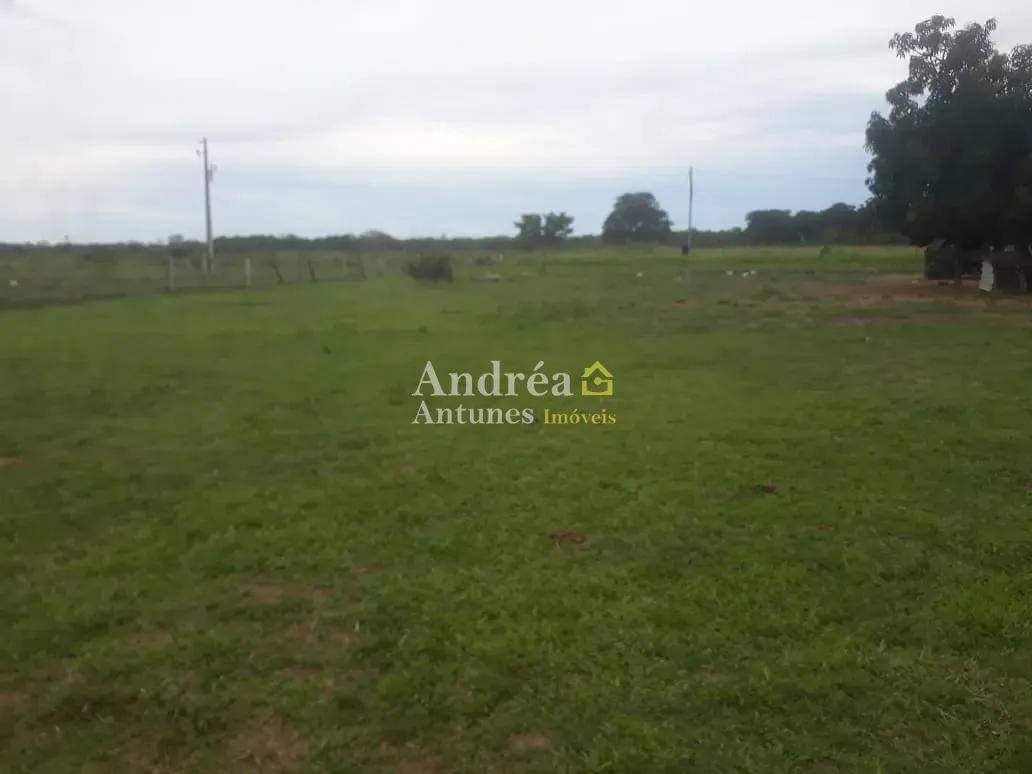 Fazenda, 2400 hectares - Foto 13