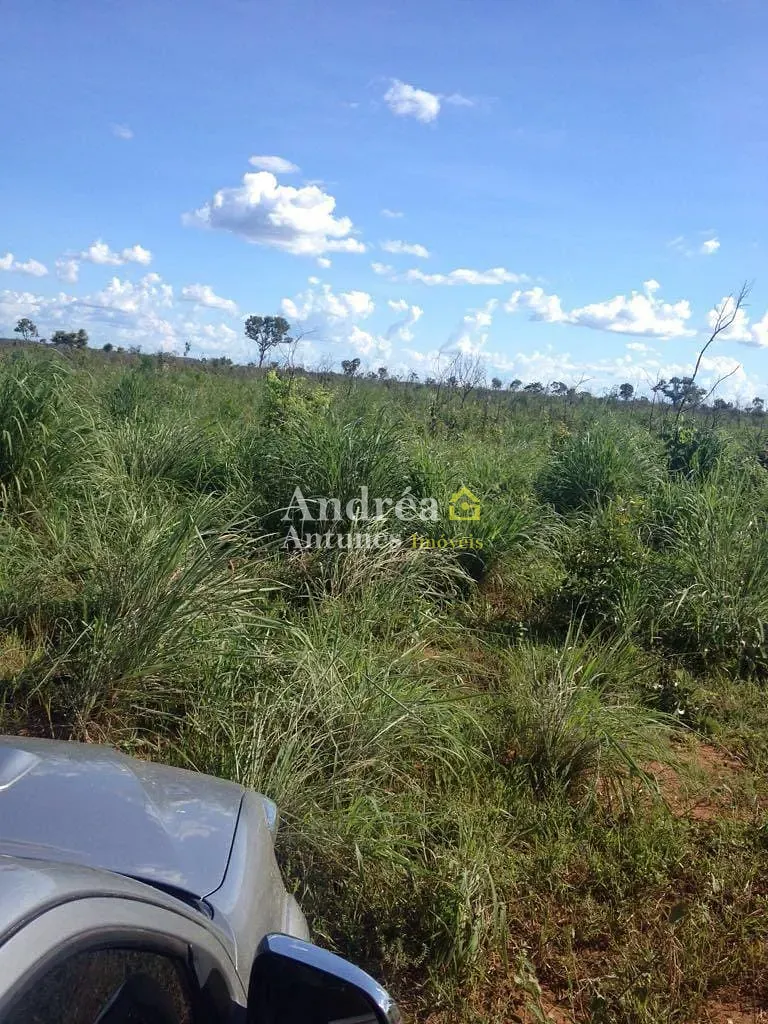 Fazenda, 2400 hectares - Foto 12