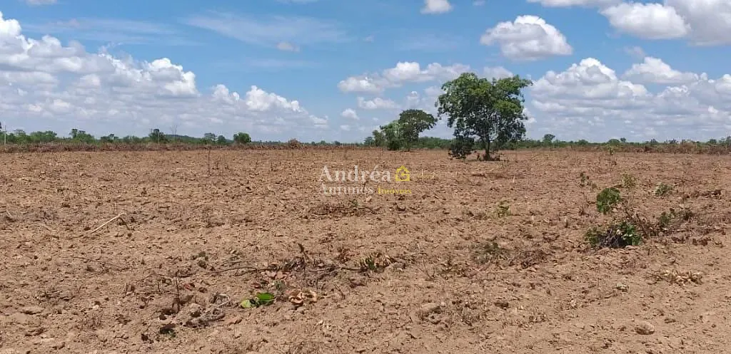 Fazenda, 2400 hectares - Foto 4