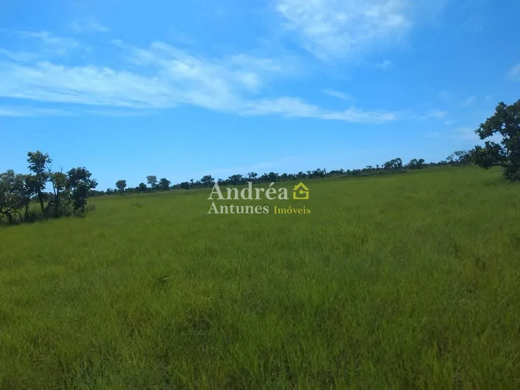 Fazenda, 2400 hectares - Foto 9