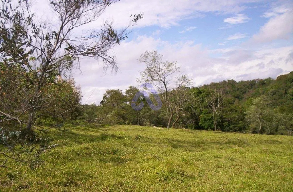 Terreno, 30 hectares - Foto 19