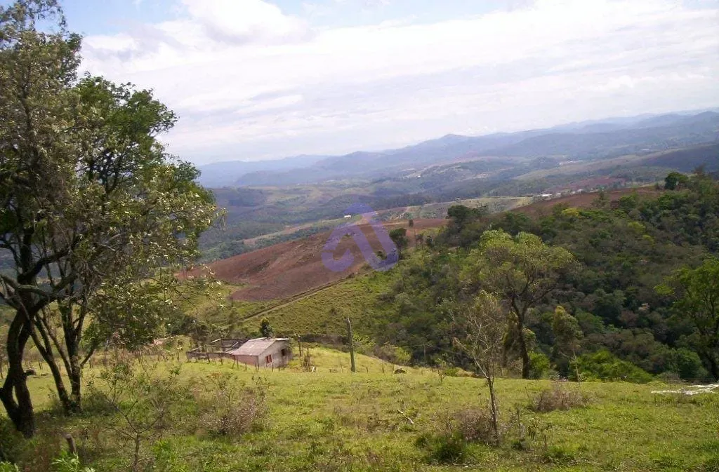 Terreno, 30 hectares - Foto 10