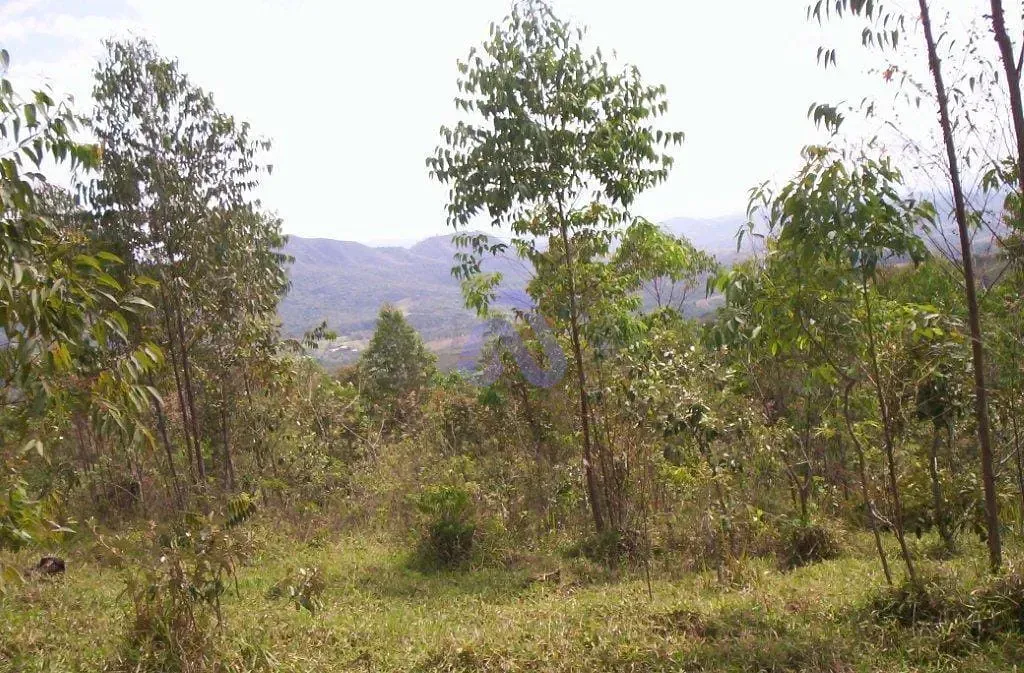 Terreno, 30 hectares - Foto 18