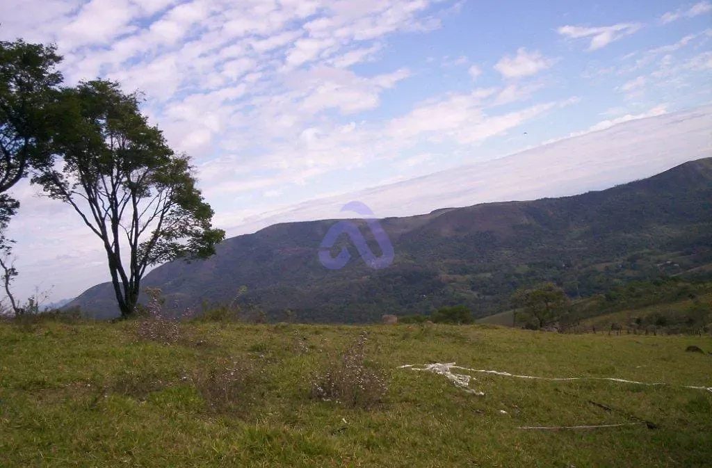 Terreno, 30 hectares - Foto 12