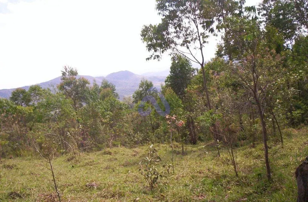 Terreno, 30 hectares - Foto 11
