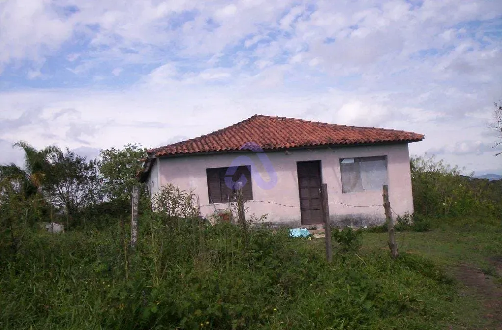 Terreno, 30 hectares - Foto 4