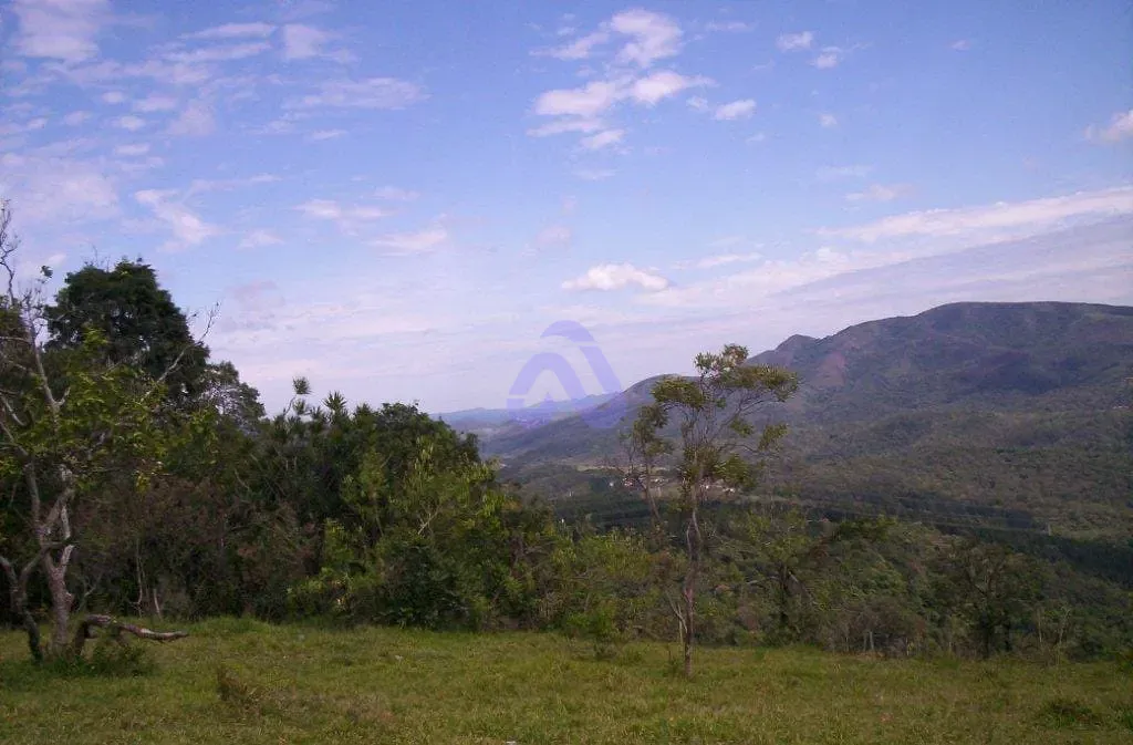 Terreno, 30 hectares - Foto 2