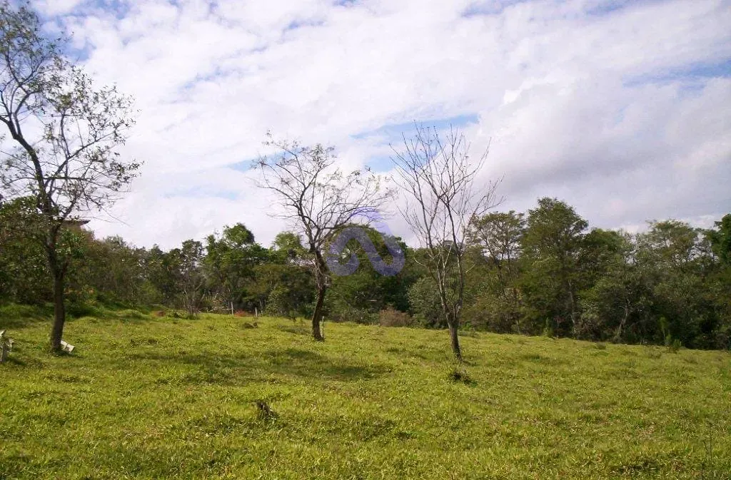 Terreno, 30 hectares - Foto 16