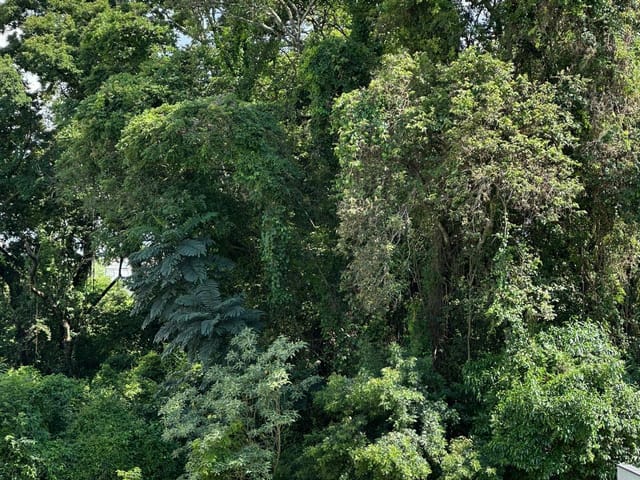 Terreno com 551m², à venda, no bairro Jardim dos Lagos em Indaiatuba