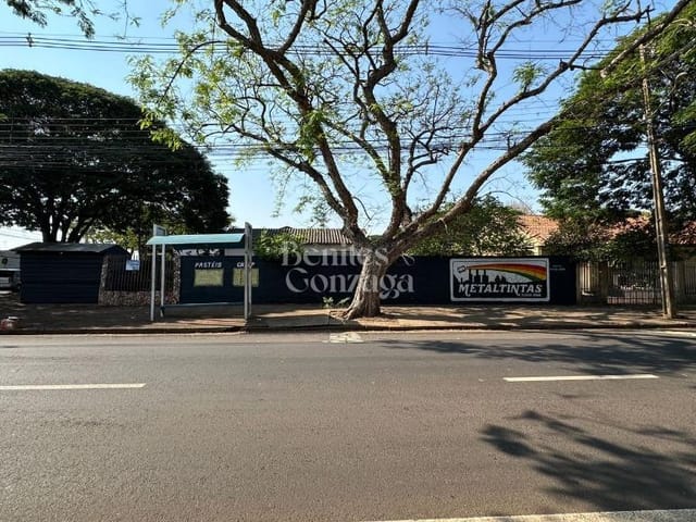Foto do Terreno - Terreno à venda em Maringá, Jardim São Silvestre, com 342 m² | Benites & Gonzaga Imóveis