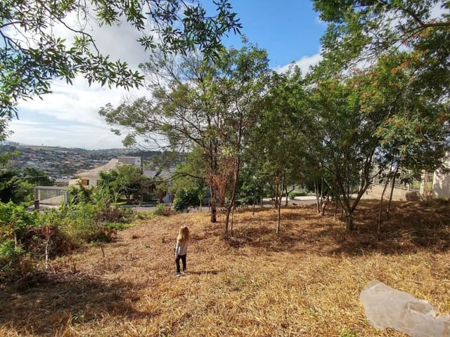Foto do Terreno - Terreno à venda, Firenze, Campo Bom, RS | Casa Briah