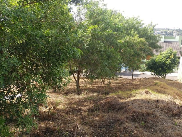 Foto do Terreno - Terreno à venda, Firenze, Campo Bom, RS | Casa Briah
