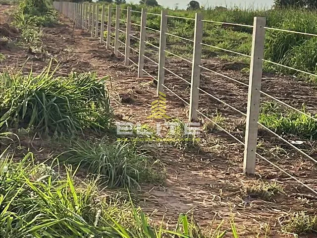Sítio à venda, no bairro Piratininga em Nova Ubiratã