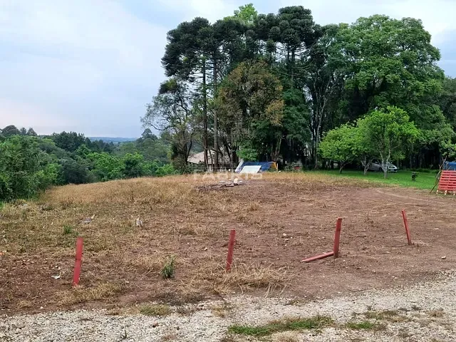 Terreno com 7277m², à venda, no bairro Rondinha em Campo Largo