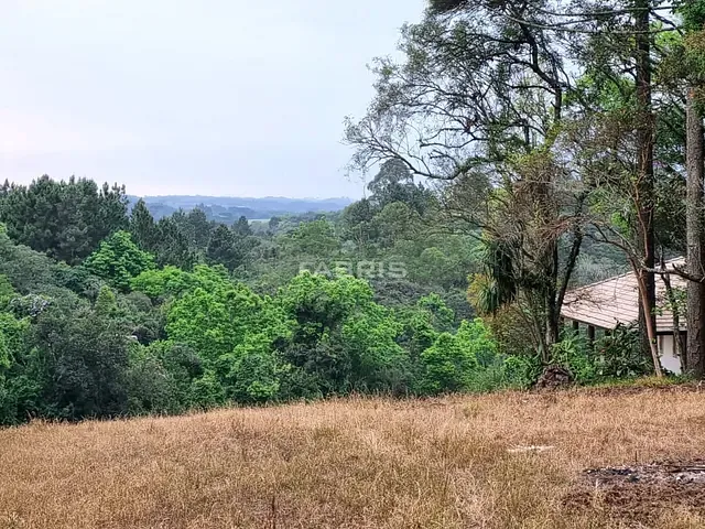 Terreno com 7277m², à venda, no bairro Rondinha em Campo Largo
