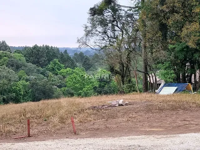 Terreno com 7277m², à venda, no bairro Rondinha em Campo Largo
