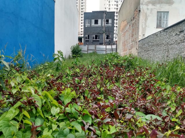 Terreno com 247m², à venda, no bairro Santo Antônio em São Caetano do Sul