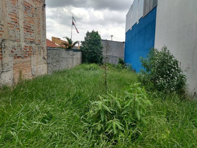 Terreno com 247m², à venda, no bairro Santo Antônio em São Caetano do Sul