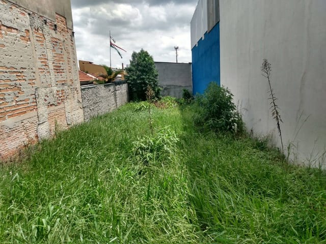 Terreno com 247m², à venda, no bairro Santo Antônio em São Caetano do Sul